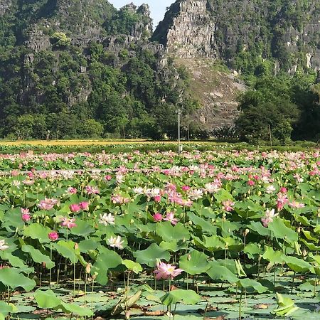 Thành Homestay Ninh Binh Exterior foto